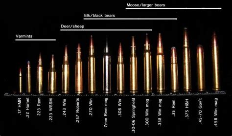 Rod & Barrel • Bullet Caliber Chart for Intended Prey. Certainly...