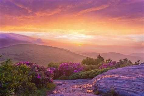 blue ridge mountain sunrise - Google Search