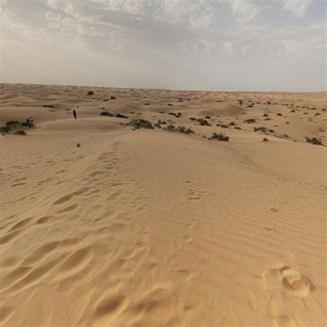 Dubai Desert Conservation Reserve in Dubai, United Arab Emirates (Google Maps)