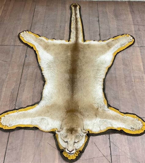 Lot - Taxidermy Mountain Lion Pelt / Area Rug