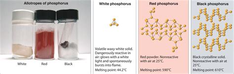 Phosphorus Allotropic Forms - Study Material for IIT JEE | askIITians