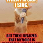 cat singing happy birthday meme – Happy Birthday Memes