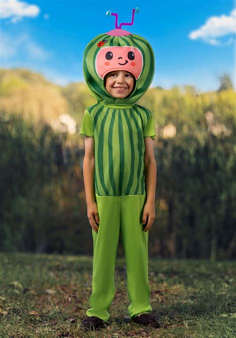 Cocomelon Toddler/Infant Melon Costume