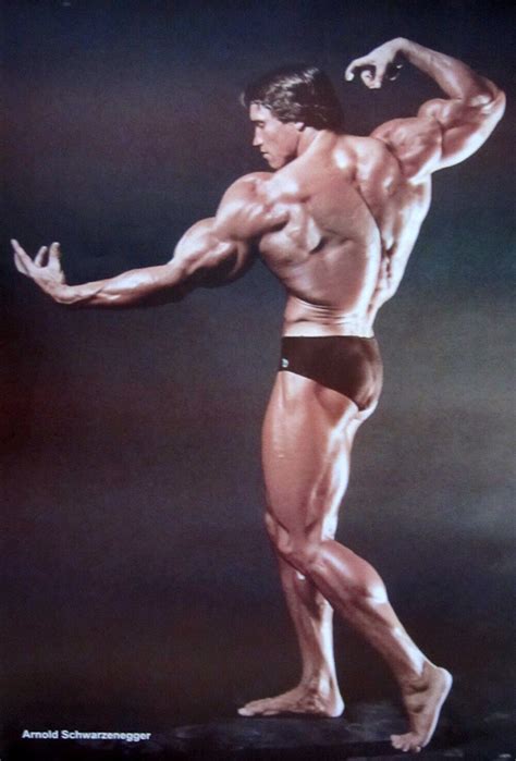 Arnold Schwarzenegger Back Pose | ubicaciondepersonas.cdmx.gob.mx