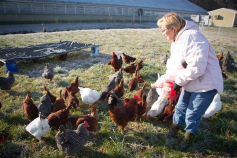 Farm Health Online – Animal Health and Welfare Knowledge Hub – Poultry Farmer