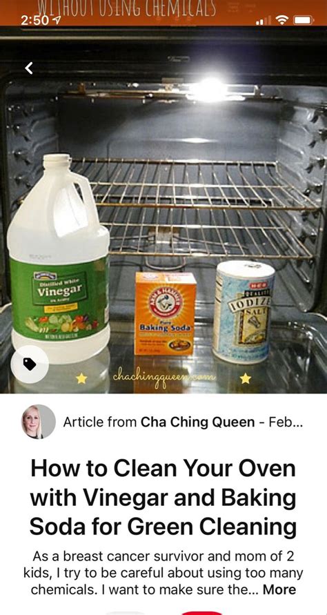 How to Clean Your Oven with Vinegar and Baking Soda for Green Cleaning ...