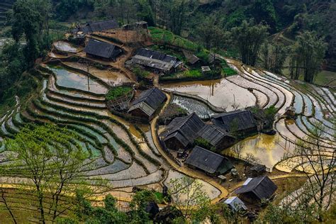 Vietnam Farm Agriculture - Free photo on Pixabay