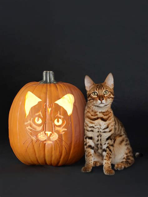 Free Pumpkin Carving Stencils of Favorite Cat Breeds | Better Homes ...