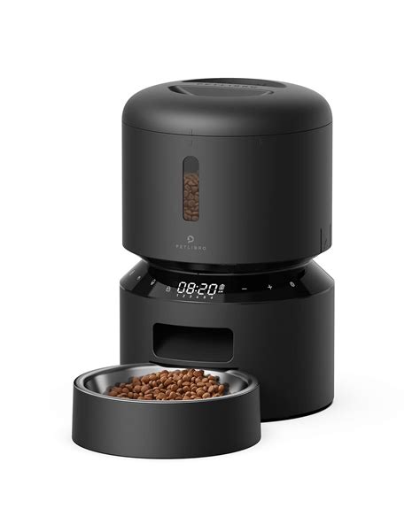 Best Raccoon Proof Cat Feeder: Keep Your Feline Safe! - [2023]