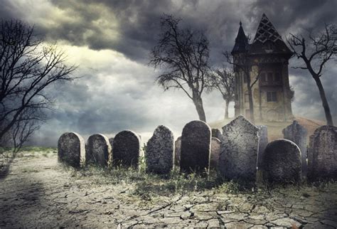 Buy 10x8ft Creepy Cemetery Backdrop Gothic Style Moonlight y Haunted House Background for Photos ...