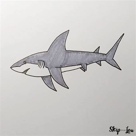 How To Draw A Shark | Skip To My Lou