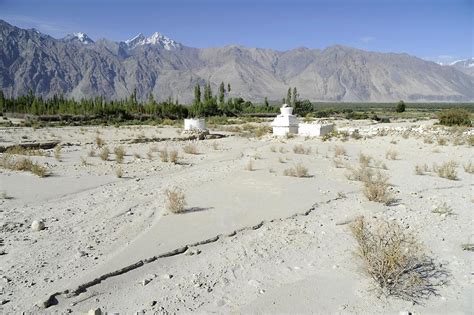 Nubra Valley (5) | Nubra Valley | Pictures | India in Global-Geography