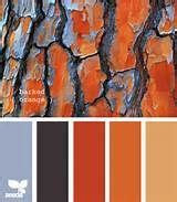burnt orange | Color Palette Ideas | Design seeds, Colour pallete ...