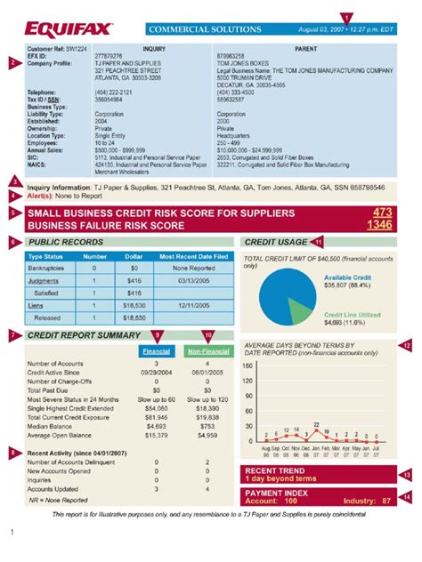 Sample Business Credit Report | Credit History | Credit Card
