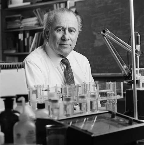 The Rockefeller University » Norton Zinder, pioneering molecular geneticist, dies at 83