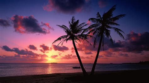 Tropical Island Beach Sunset Wallpaper Cool Backgrounds | Beach sunset wallpaper, Sunset ...