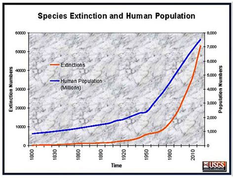 Animal Extinction Chart