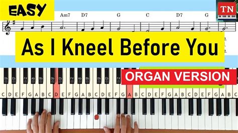 As I Kneel Before You | Organ Version [ EASY ] - YouTube