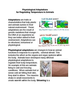 Physiological Adaptations for Regulating Temperature in Animals | TPT