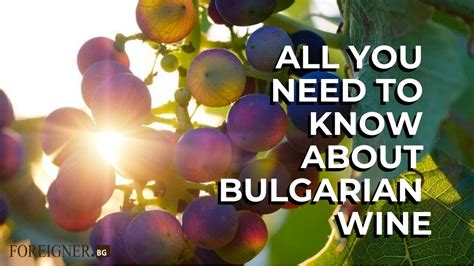 All You Need to Know about Bulgarian Wines