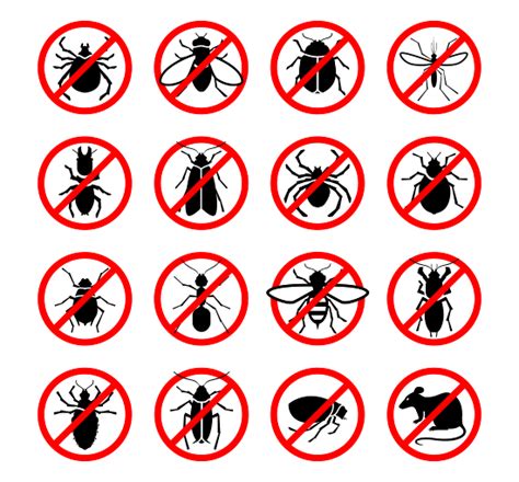 TYPES OF PESTS - BEST PEST CONTROL COMPANY IN DUBAI