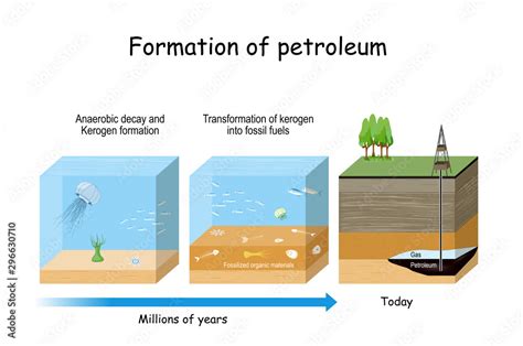 Formation of petroleum. Oil and gas formation. Stock Vector | Adobe Stock