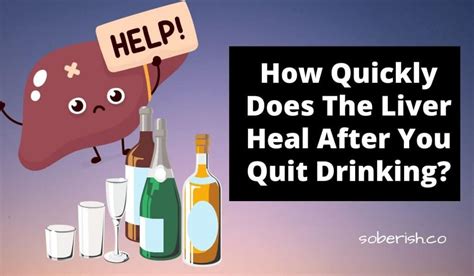 50 Unbelievable Benefits of Quitting Alcohol Timeline: 2024 Guide