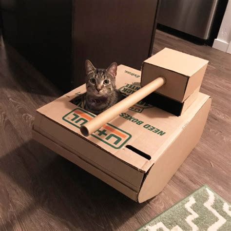 Cats In Cardboard Tanks (21 pics)