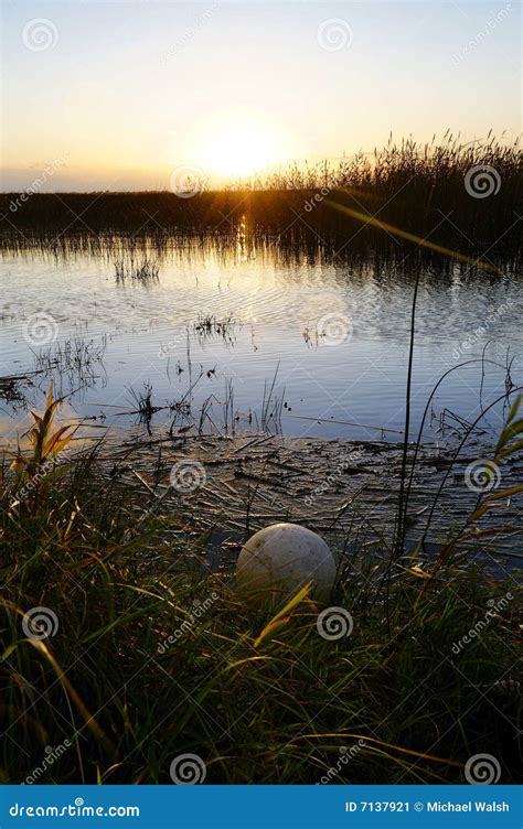 Lough Ennell stock image. Image of lake, ireland, eire - 7137921