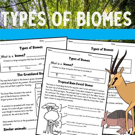 Biome Worksheets For Kids