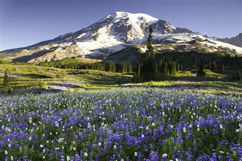 Top 12 Washington State Attractions