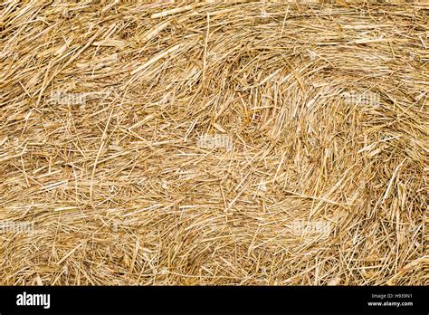 Hay bale texture hi-res stock photography and images - Alamy