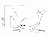 Printable Animal Alphabet Letter N Is For Nurse Shark  Free sketch template