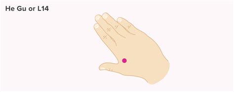 7 Pressure Points for Nausea Pressure Points For Nausea, Normal Blood ...