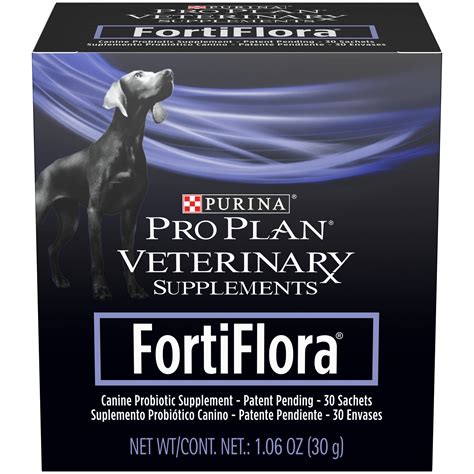 Best Probiotics for Dogs: Keep Your Canine Companion Healthy