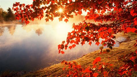 Download Sunny Day Scenery HD Fall Background | Wallpapers.com