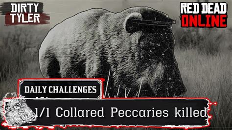 Collared Peccary Pig RDR2 Daily Challenges Peccaries Location Red Dead ...