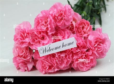 Welcome Images With Flowers