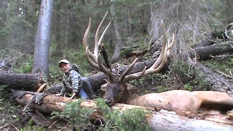 Biggest bull elk taken in the state of UTAH in the year of 2011 - YouTube