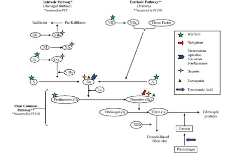 Coagulation Cascade Anticoagulants