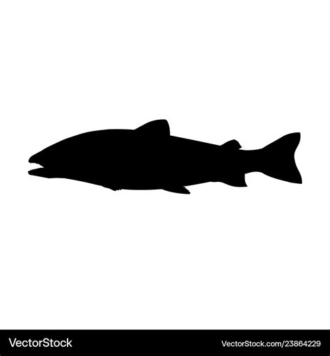 Atlantic salmon silhouette Royalty Free Vector Image