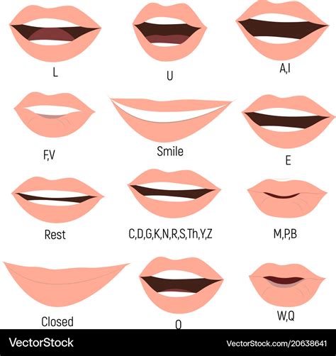 Famale mouth animation phoneme mouth chart Vector Image