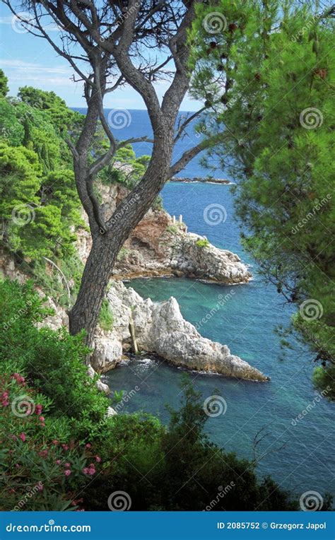 Adriatic Coast in Dubrovnik Stock Photo - Image of medievel, heritage ...