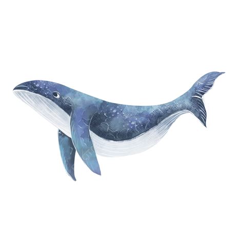 青いクジラ夢の星空イラスト画像とPSDフリー素材透過の無料ダウンロード - Pngtree