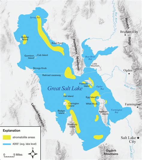 Glad You Asked: Is There Coral in Great Salt Lake? – Utah Geological Survey