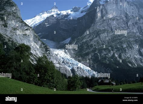 Oberer Grindelwald glacier, Grindelwald, Bernese Oberland, Switzerland Stock Photo - Alamy