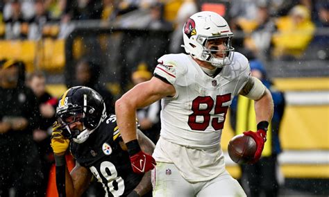 Cardinals blast Pittsburgh Steelers in locker room after momentous win