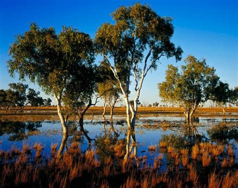 GALLERY: Australia's desert landscapes - Australian Geographic