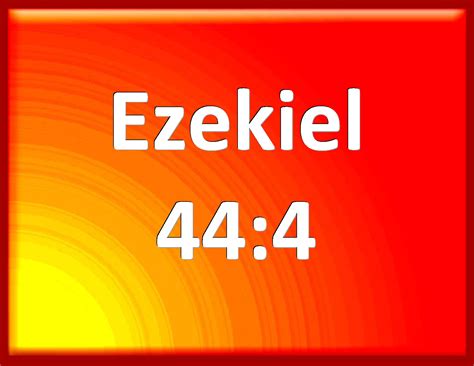 Ezekiel 44:4 Then brought he me the way of the north gate before the ...