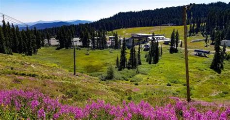 Mt. Hood Meadows Will Reopen for Summer Activities This Week